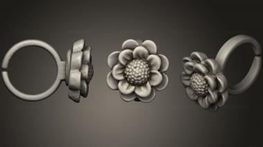 Jewelry rings Toy ring 3d model